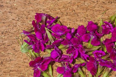 Vahşi karanfil çiçek kalbi ahşap arka planda