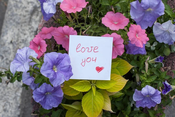 Text Textem Miluji Květinách Petunie — Stock fotografie