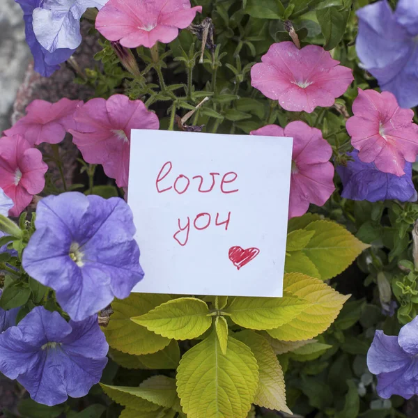 Der Zettel Mit Der Aufschrift Love You Petunienblüten — Stockfoto