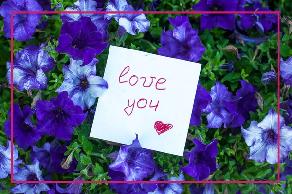 Note Text Love You Petunia Flowers — Stock Photo, Image