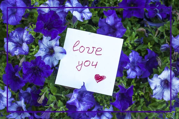 Note Text Love You Petunia Flowers — Stock Photo, Image