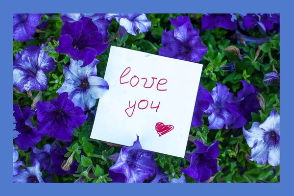 Note Text Love You Petunia Flowers — Stock Photo, Image