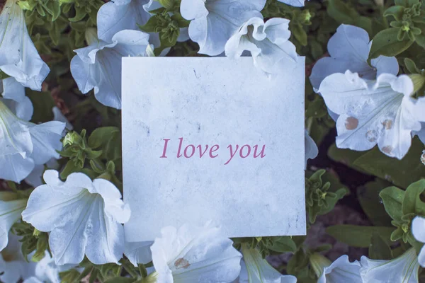 Σημείωμα Κείμενο Αγαπώ Στα Λουλούδια Της Πετούνιας — Φωτογραφία Αρχείου