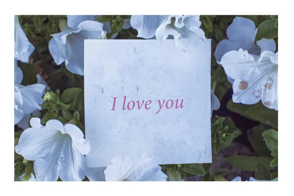 Note Text Love You Petunia Flowers — Stock Photo, Image