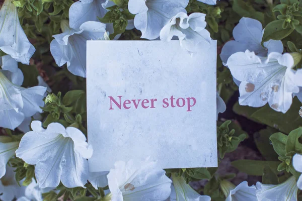 Nota Con Texto Nunca Pares Flores Petunia —  Fotos de Stock