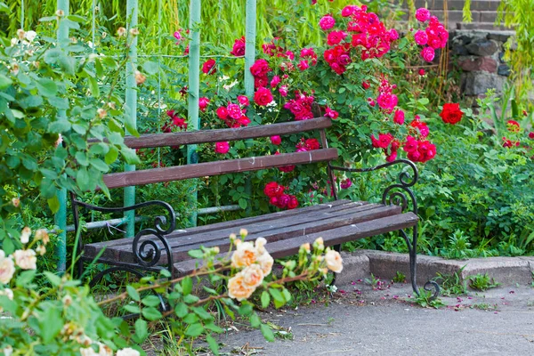 Hermoso Banco Parque Rodeado Rosales — Foto de Stock