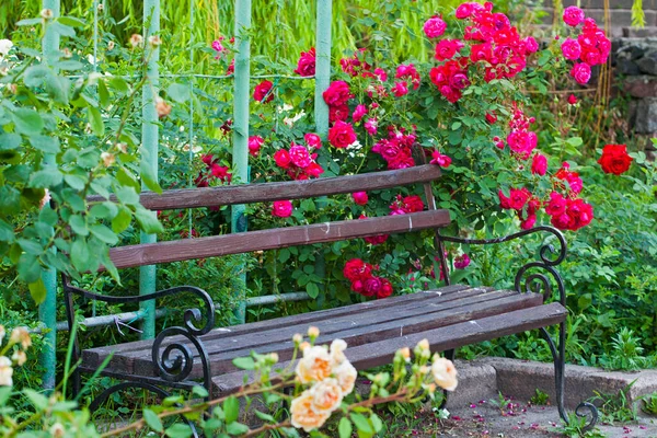 Bella Panchina Parco Circondata Cespugli Fiori Rosa — Foto Stock