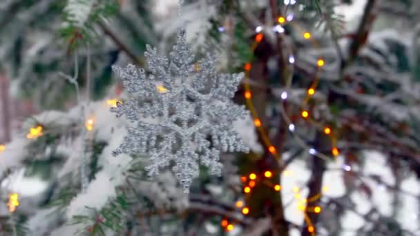 雪地森林里冷杉树上的雪花和圣诞灯 — 图库视频影像