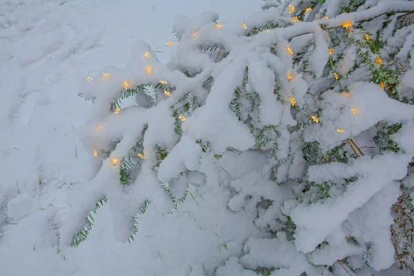 Luces Navidad Copos Nieve Abeto Decorado Parque Invierno —  Fotos de Stock