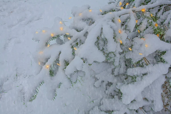 Julbelysning Och Snöflingor Den Dekorerade Granen Vinterparken — Stockfoto