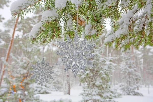 Kerstverlichting Sneeuwvlokken Versierde Dennenboom Het Winterpark — Stockfoto