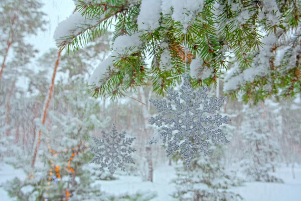 Christmas Lights Snowflakes Decorated Fir Tree Winter Park — Stock Photo, Image