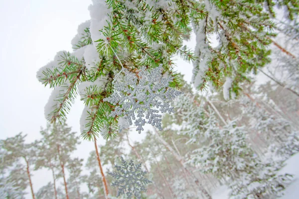 Luces Navidad Copos Nieve Abeto Decorado Parque Invierno —  Fotos de Stock