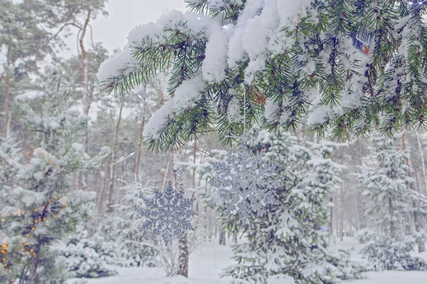 Χριστουγεννιάτικα Φώτα Και Νιφάδες Χιονιού Στο Στολισμένο Έλατο Στο Χειμερινό — Φωτογραφία Αρχείου
