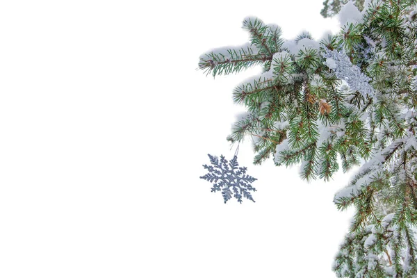 Światła Świąteczne Płatki Śniegu Ozdobionej Jodle Parku Zimowym — Zdjęcie stockowe