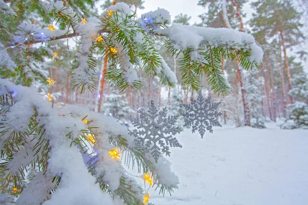 Weihnachtsbeleuchtung Und Schneeflocken Geschmückten Tannenbaum Winterpark — Stockfoto