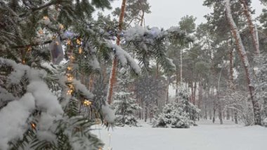 Kış parkında Noel ışıkları ve kar taneleri süslenmiş köknar ağacında