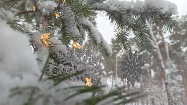 Światła Świąteczne Płatki Śniegu Ozdobionej Jodle Parku Zimowym — Wideo stockowe