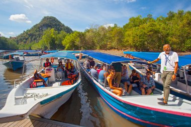 Langkawi, Malezya - 30 Ocak 2020: Mangrove Ormanı Langkawi Kilim Geoforest Park 'ta çok güzel bir manzara ve popüler bir duraktır. Turist motorlu tekne ile mangrov turu yapabilir..