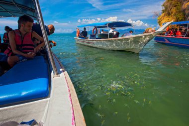 LANGKAWI, MALAYSIA-3 0 Ocak 2020: Geoforest Park, Langkawi Adası 'nda yerel halk ve turistleri besleyen balık . 
