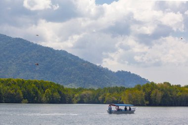 Langkawi, Malezya. 30 Ocak 2020. Langkawi adasında Kartal Yemi Mangrove gezisi Kilim Geoforest Parkı.