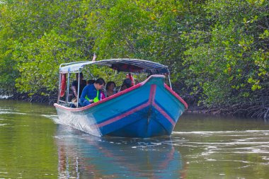 Langkawi, Malezya - 30 Ocak 2020: Mangrove Ormanı Langkawi Kilim Geoforest Park 'ta çok güzel bir manzara ve popüler bir duraktır. Turist motorlu tekne ile mangrov turu yapabilir..