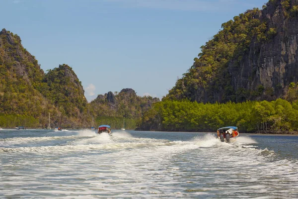 Mangrove Forest Mycket Vacker Utsikt Och Populärt Resmål Langkawi Kilim — Stockfoto