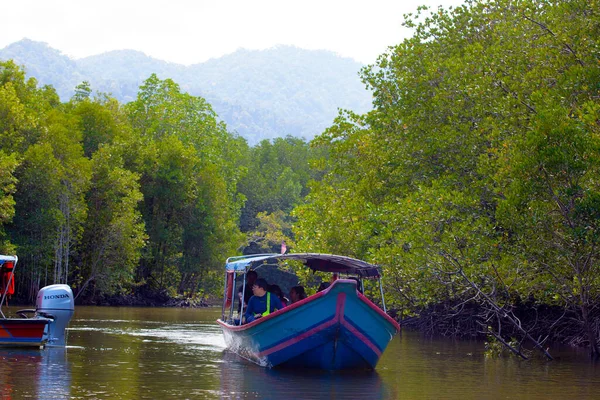 Langkawi Maleisië Januari 2020 Een Mangrove Forest Een Erg Mooi — Stockfoto