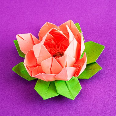Kağıttan yapılmış pembe origami lotus