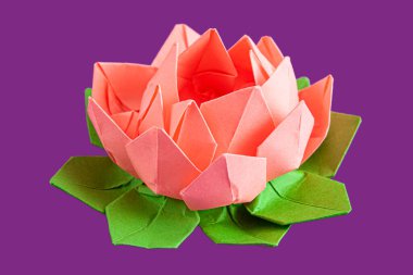 Kağıttan yapılmış pembe origami lotus