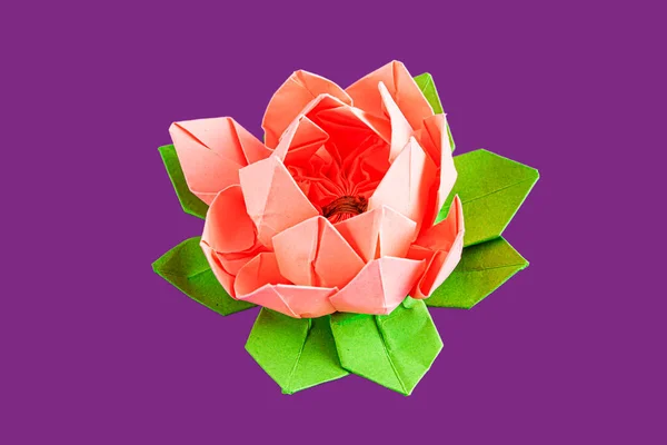 Lótus Origami Rosa Feito Com Papel — Fotografia de Stock