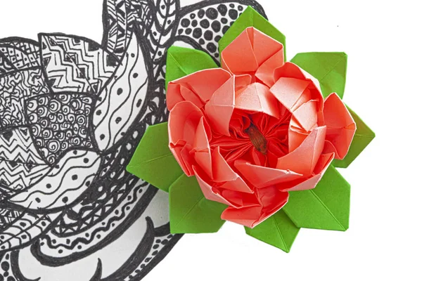 Origami Lotus Lotus Foto Afbeeldingen Met Ornamenten — Stockfoto