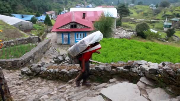 Dole Nepal Octubre 2018 Porteros Excursionistas Con Mochila Caminan Por — Vídeo de stock