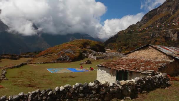 Paisagem Das Montanhas Himalaia Caminho Acampamento Base Everest Nepal — Vídeo de Stock