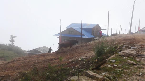 Villaggio Nepalese Sulla Strada Campo Base Dell Everest — Video Stock