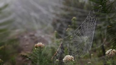 Nepal 'deki Himalaya dağları, Everest Ana Kampı yolunda.