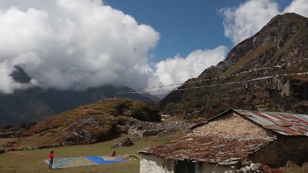 Yaks Nepal Mountains Ebc Track — Vídeos de Stock