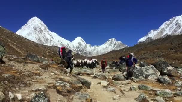Everest Base Camp Nepal Oktober 2018 Blick Vom Mount Everest — Stockvideo