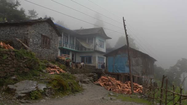 Nepalese Village Way Everest Base Camp — Stock Video