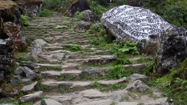 Steine Mit Buddhistischen Mantras Unterwegs Himalaya Gebirge Nepal — Stockvideo