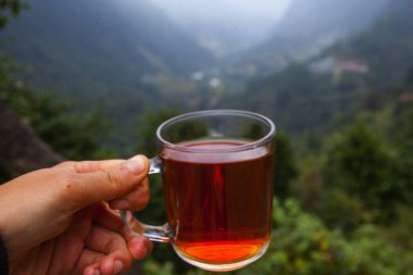Himalayalar 'da, Nepal' de, çay evinin yanında çay fincanı.