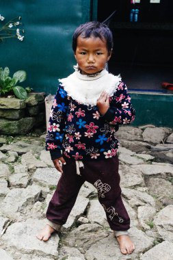 HIMALAYAS, Everest REGION, NEPAL - 20 EKİM 2018: Nepal 'deki Himalaya köyünde, ağzında çiçekle evinin yanındaki portre nepalli kız