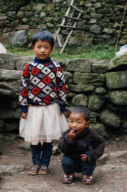 HIMALAYAS, Everest REGION, NEPAL - 20 EKİM 2018: Nepal 'deki Himalaya köyünde, ağzında çiçekle evinin yanındaki portre nepalli kız