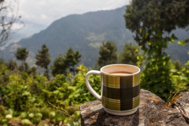 Himalaya dağlarında, Nepal 'de çay fincanı