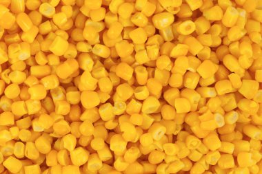 Bir yığın sarı mısır taneleri dokusu