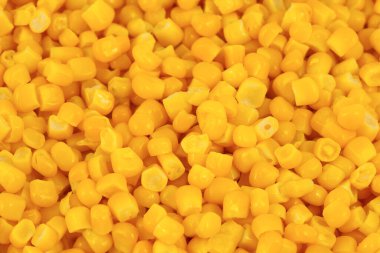 Bir yığın sarı mısır taneleri dokusu