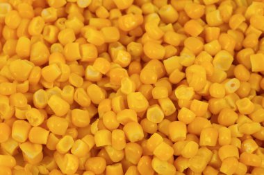 Bir yığın sarı mısır taneleri dokusu