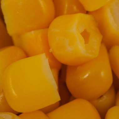 sarı mısır tanelerinin dokusunu kaplayan makro.