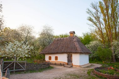 Renkli ağaçlardaki ahşap evler Sonbaharda park halinde Pirogovo Müzesi, Kiev, Ukrayna 