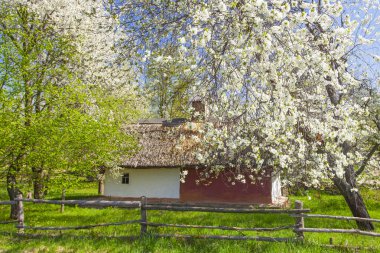 İlkbaharda Kyiv yakınlarındaki Pirogovo Müzesi, Ukrayna